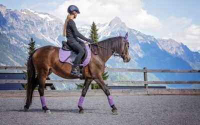 Be Cautious Before Riding a Horse