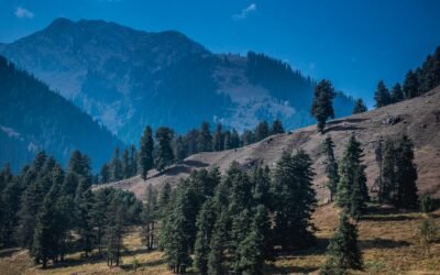 Beauty of Kashmir, The Paradise on Earth
