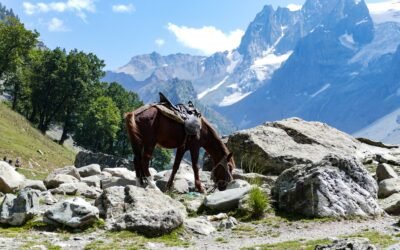 What to Carry with You In Kashmir