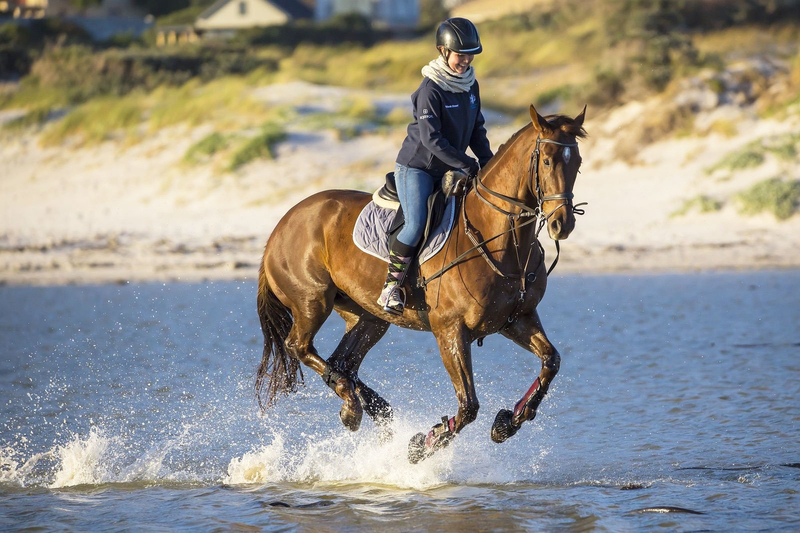 Horse-Riding