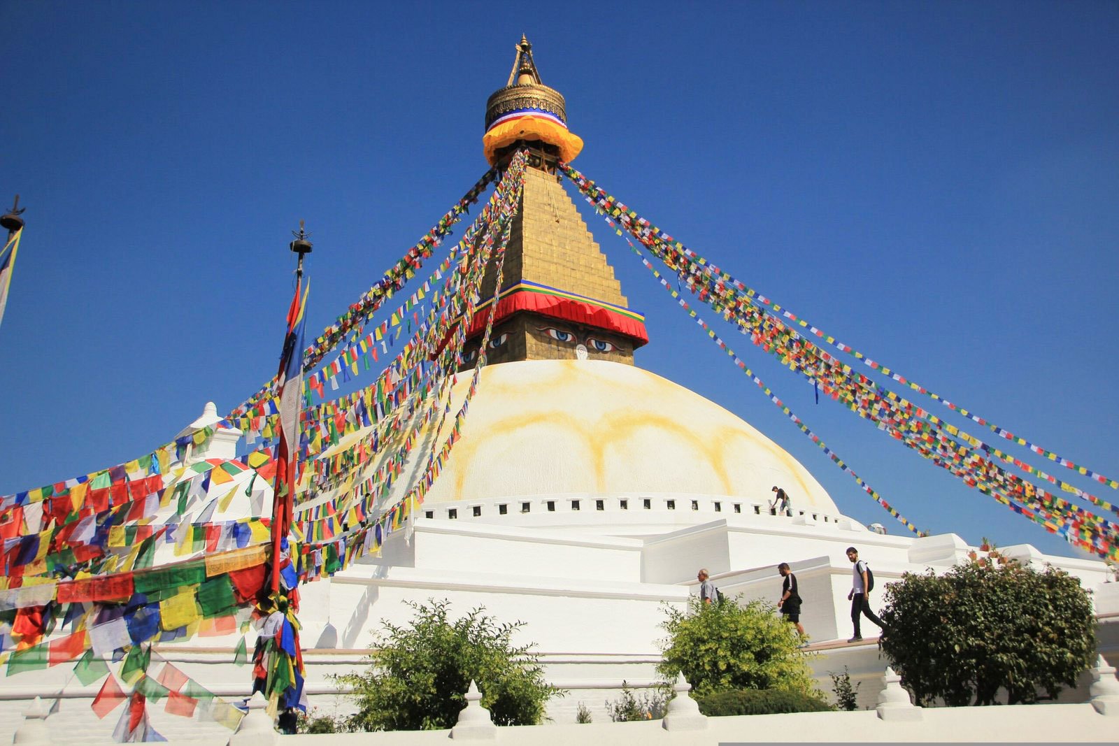 five-colored-flags-in-various-places-in-Himachal-Pradesh