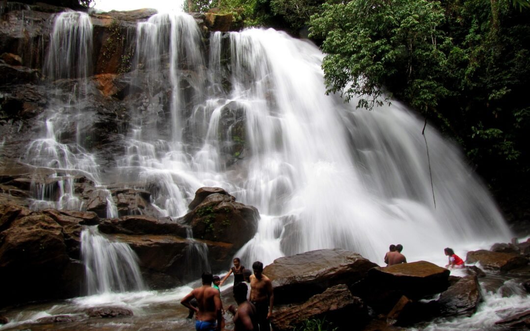 Chadwick Falls In Shimla