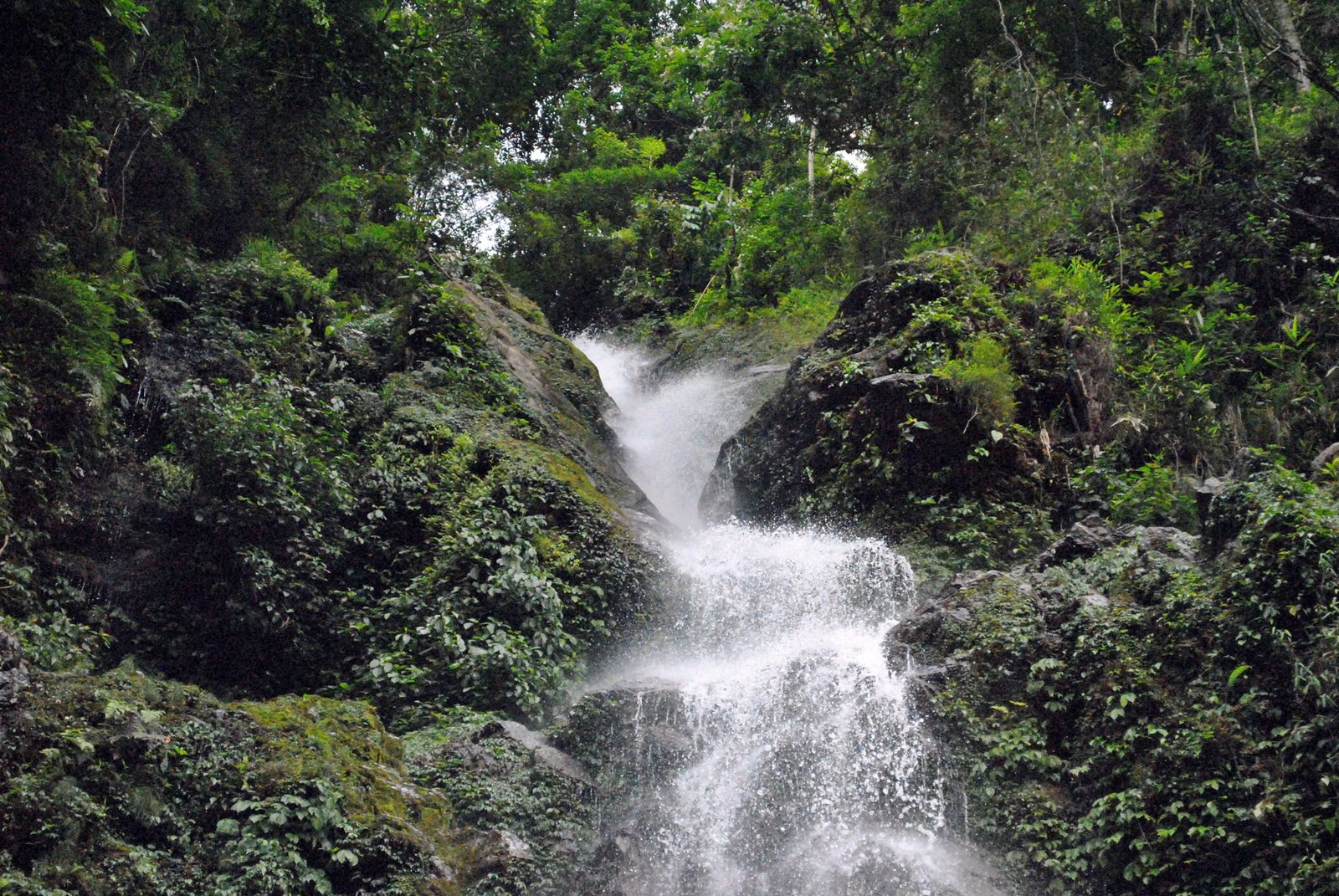 Chadwick Falls, Shimla
