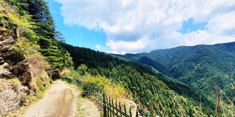 Cycling in Dhalli, Shimla Cycling in Dhalli, Shimla