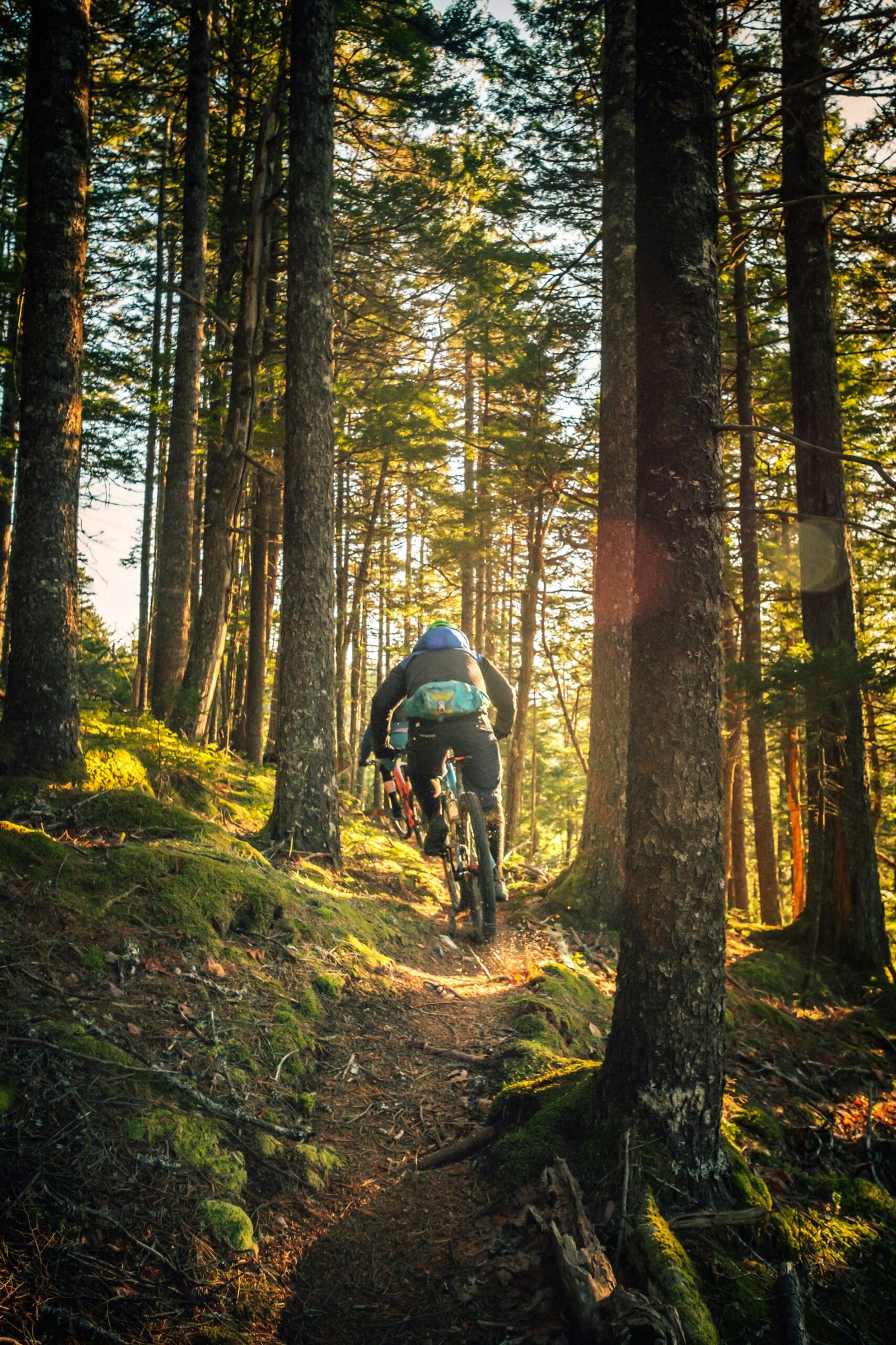 Cycling in Dhalli, Shimla Cycling in Dhalli, Shimla